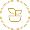 創(chuàng  )新致用